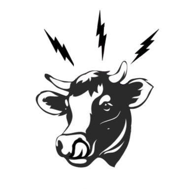 Edge FM 93.7 Bega Valley Community Radio