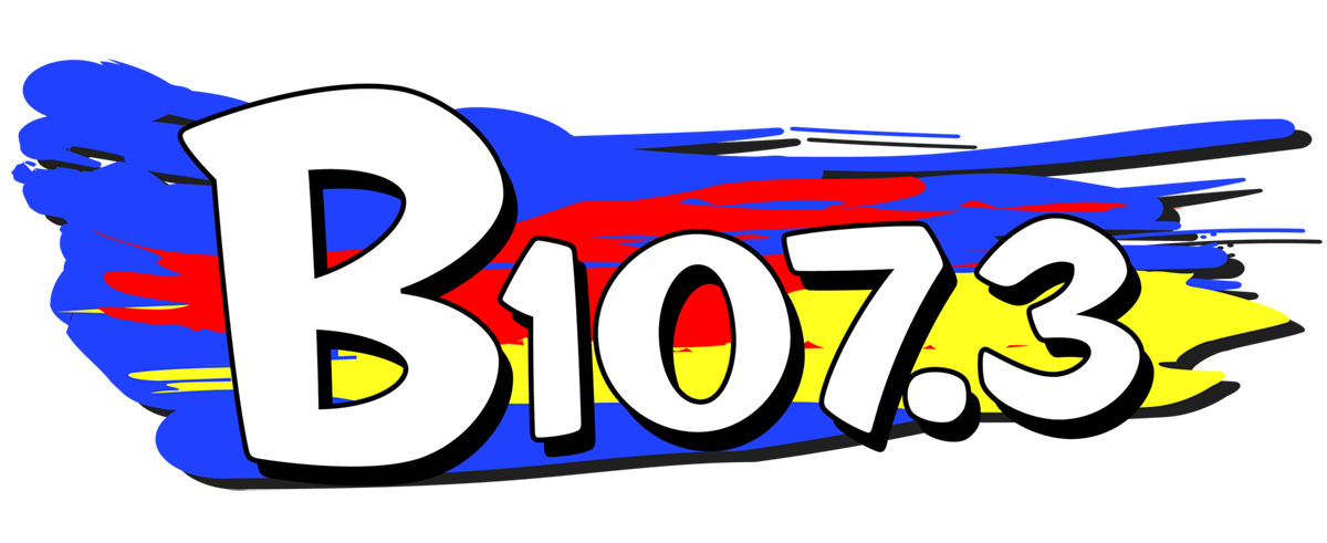 B107.3