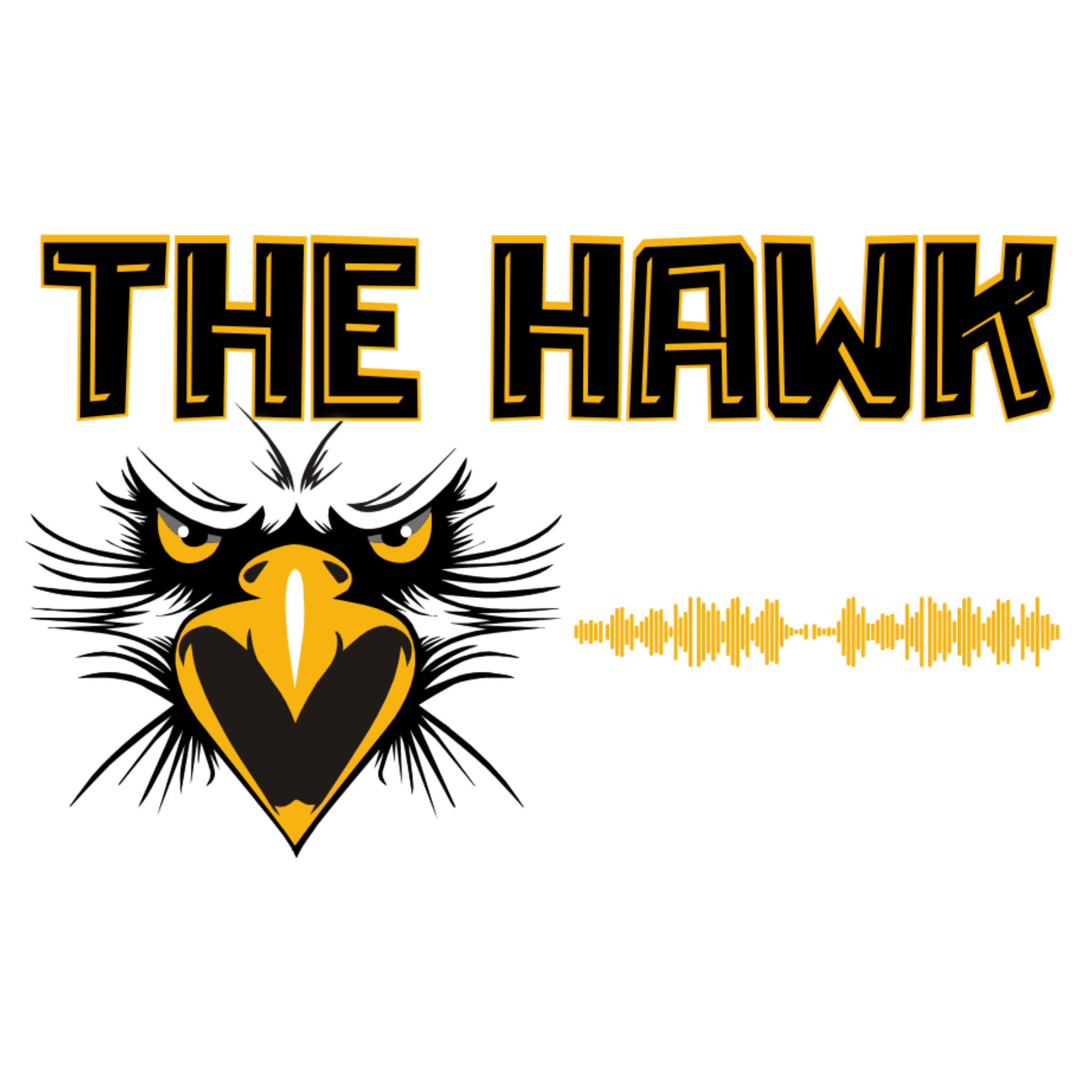 100.5 The Hawk