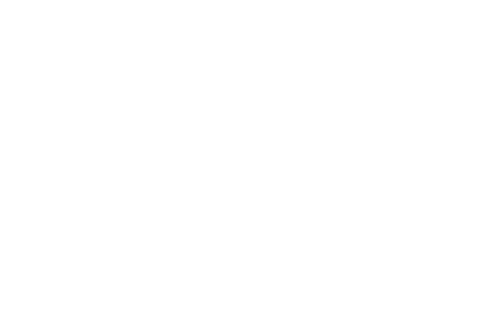 Visit Southwest Michigan Radio 106.1